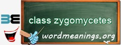 WordMeaning blackboard for class zygomycetes